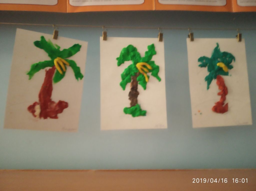 IMG_20190416_160127.jpg